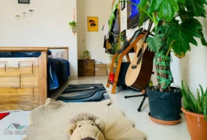 Tapete para Quarto de Casal: Conforto + Decoração Harmoniosa