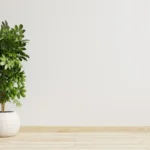 Arranjo de Planta Artificial para Sala: Composições Criativas