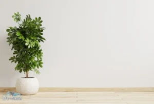 Arranjo de Planta Artificial para Sala: Composições Criativas