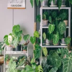 Vaso para Sala com Planta Artificial: Decoração Inteligente