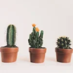 Planta Artificial Realista para Sala: Ultra Natural + Melhores Marcas