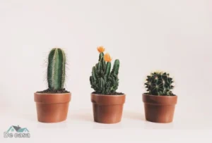 Planta Artificial Grande para Sala com Vaso: Conjunto Harmonioso