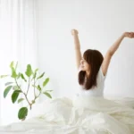 Jogo de Cama Casal: Guia Completo + Melhores Marcas 2025