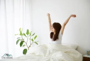 Jogo de Cama Casal: Guia Completo + Melhores Marcas 2025