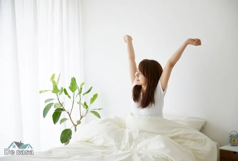 Jogo de Cama Casal: Guia Completo + Melhores Marcas 2025