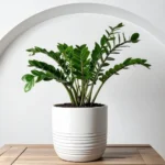 Planta Artificial para Sala Pendente: Efeito Cascata + Instalação