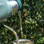 Copo Stanley para Tererê: Modelos Ideais, Cuia e Como Usar Corretamente