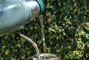 Copo Stanley para Tererê: Modelos Ideais, Cuia e Como Usar Corretamente