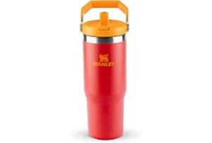 Copo Stanley Cuia: Modelo Ideal para Chimarrão e Tererê — Review