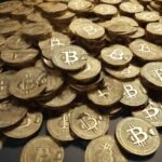 Bitcoin Under the Microscope: Risks and Rewards for 2023